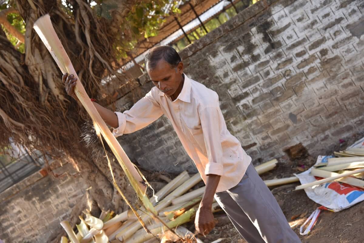 banana stem farmer