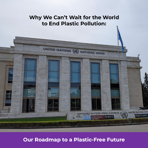 Why We Can’t Wait for the World to End Plastic Pollution: Our Roadmap to a Plastic-Free Future