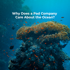 Why Does a Pad Company Care About the Ocean?