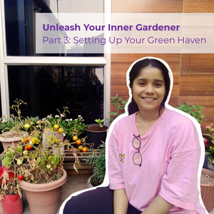 Unleash Your Inner Gardener Part 3: Setting Up Your Green Haven