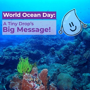 World Ocean Day: A Tiny Drop’s Big Message!