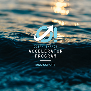 Press Release: Ocean Impact Organization invests in Saathi