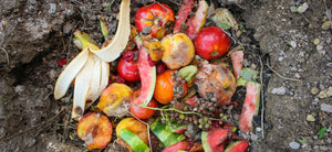 composting banner